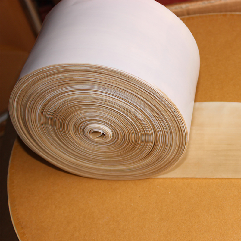 PTFE ရုပ်ရှင်ထုတ်လုပ်ရေး- Paidu Group